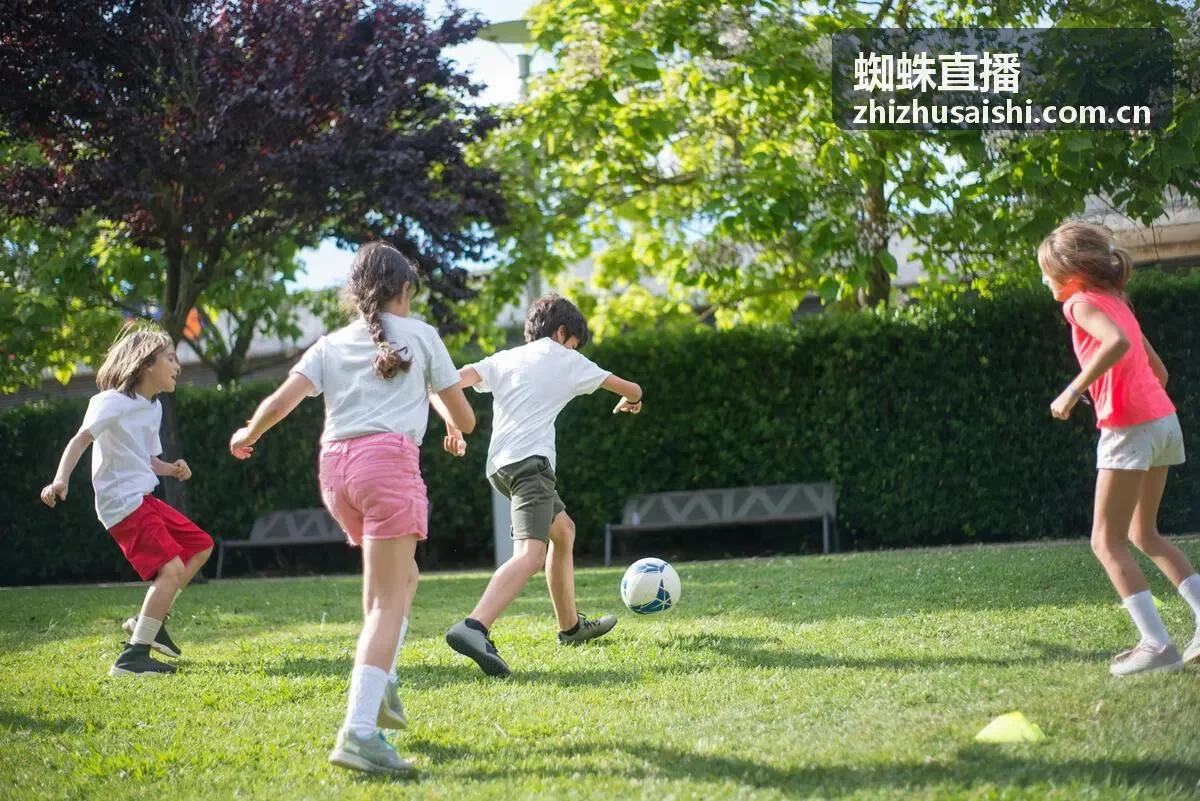 蜘蛛直播游戏攻略新手上分精读封面